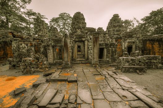 Giant tree covering Ta Prom and Angkor Wat temple, Siem Reap, Cambodia Asia