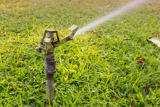sprinkler head watering the flowers and grass