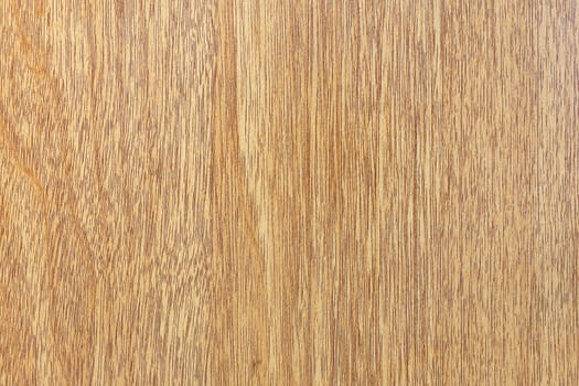 Texture of wood background closeup