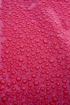 On an abstract background of water droplets seen on the surface of red