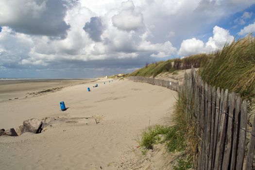 Ecosystem of the Opal Coast in Picardy. France
