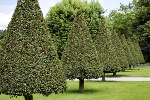 Garden of the abbey of Valloires in France