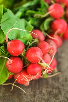 Fresh radish bunch and other spring vegetables