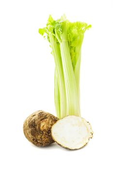 green celery isolated on a white background