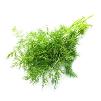 Fresh twigs of green dill isolated on white background