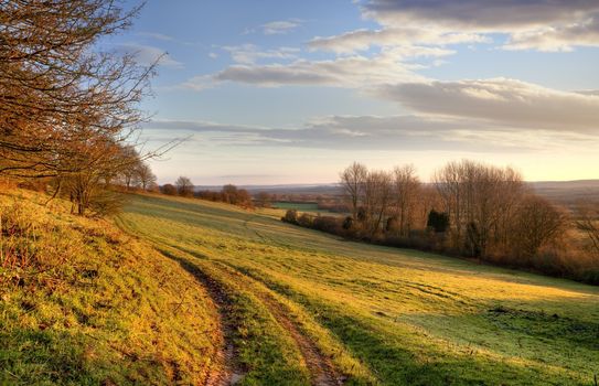 Farm track near Chipping Campden, Cotswolds, Gloucestershire, England.