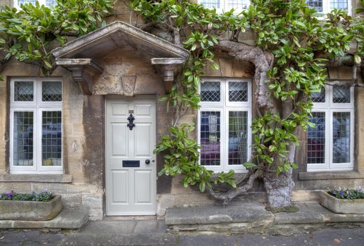 Cotswold house facade with mature climber and Georgian doorway.