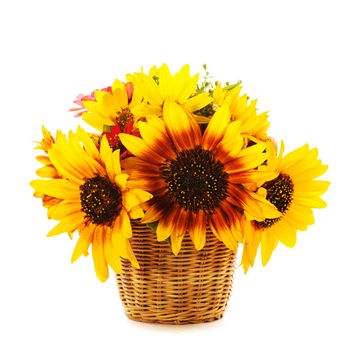 Bouquet from sunflowers in basket isolated on white