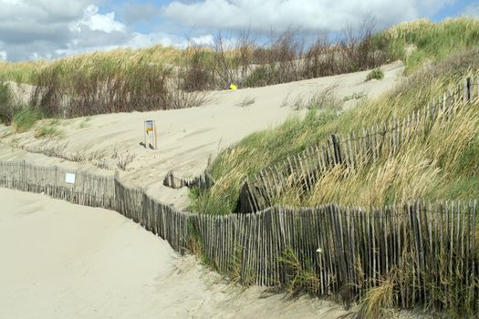 Ecosystem of the Opal Coast in Picardy. France
