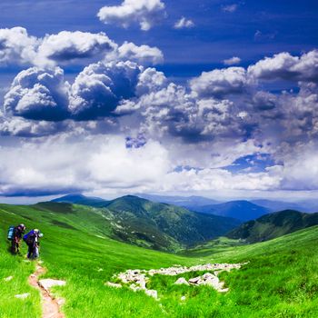 Panoramic view of Carpathians - summer meadow in mountains