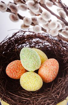 Pussy willow background and easter eggs decorations