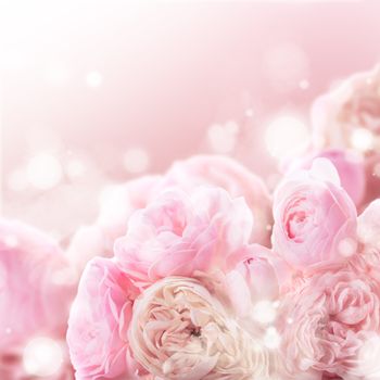 Pink roses bunch as a wedding background for design