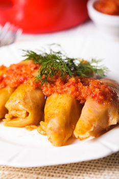 Stuffed cabbage with tomato dip on the plate