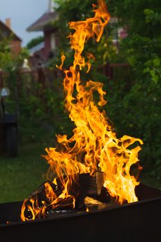 Burning firewood on the barbecue, in the yard of house
