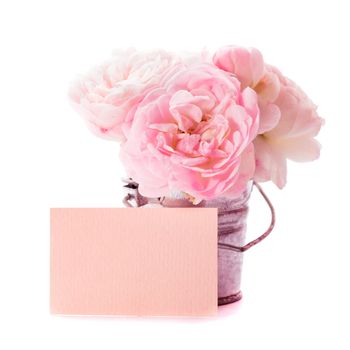 Cute greetings: pink roses bunch in little bucket and card, on white
