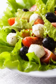 Fresh salad with mozarella cheese and vegetables