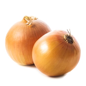 Onion bulbs isolated on the white background