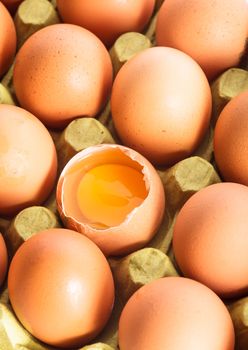 A raw egg in the shell in the cardboard shelf