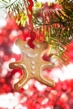 Traditional christmas gingerbread - bear on the fir branch