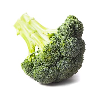 Green broccoli isolated on white background closeup