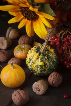 Still life with autumn harvest on wood background