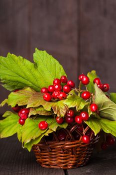 Still life with guelder rose and copyspace with wood background