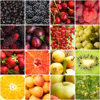 Various fruits and berries backgrounds collage from sixteen photos