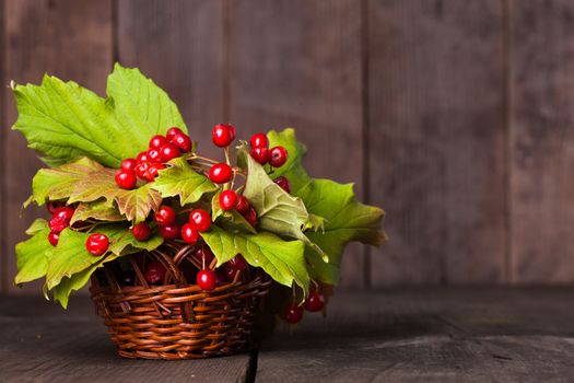 Still life with guelder rose and copyspace with wood background