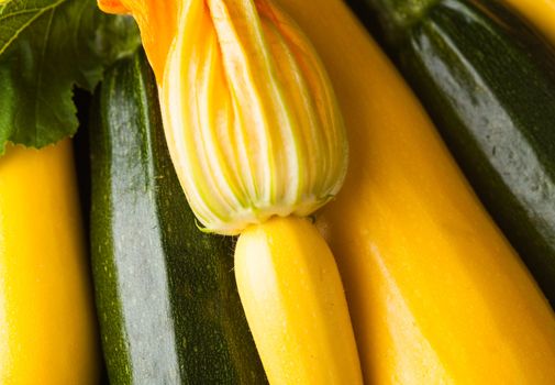 Yellow and green zucchini closeup