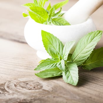 Fresh mint twigs in mortar closeup