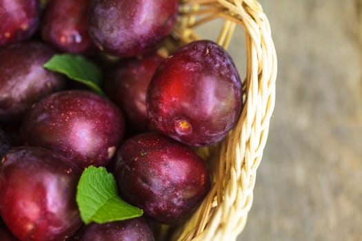 Purple plums on the rustic wooden table