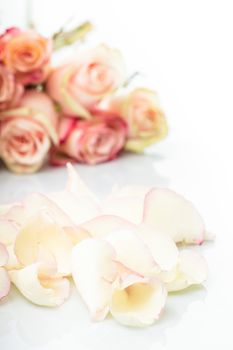 pink roses petals like a background closeup