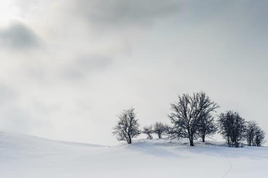 Harsh winter landscape with visible trees on the top of the hill, sun and clouds in the white sky.