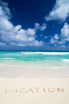 Caribbean Beach and Palm tree  .Paradise. Vacation and Tourism concept. 