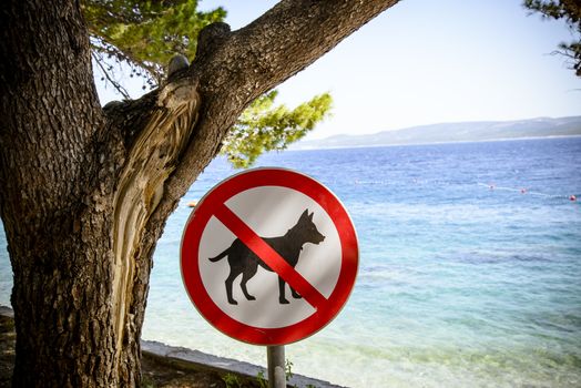 Dogs banned from the beach sign, visible tree, sea and the mountains  in the sun light on the horizon.