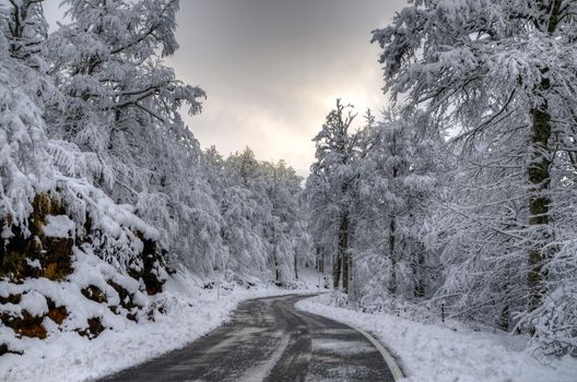 Snowy road high in the mountain.