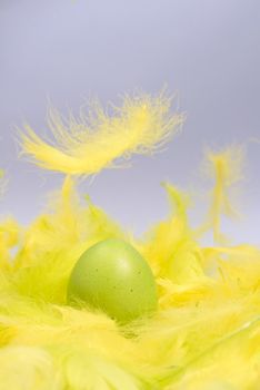 Funny, amusing and joyful photo of green Easter egg lying in yellow feathers, visible feather falling down.