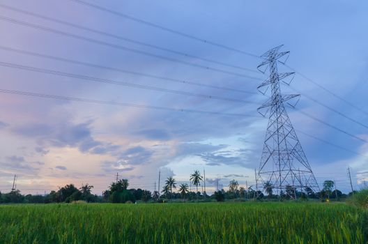 The big power pole in rice field by beauty sky as backgrounds