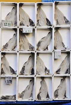 fish exhibites in the fish market in Naples, Italy