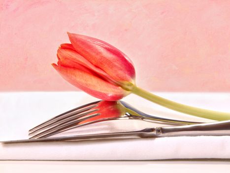 Closeup of utensils and red tulip on textured background
