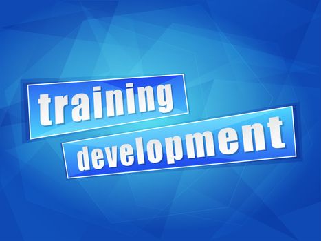 training development over blue background, flat design, business education concept words