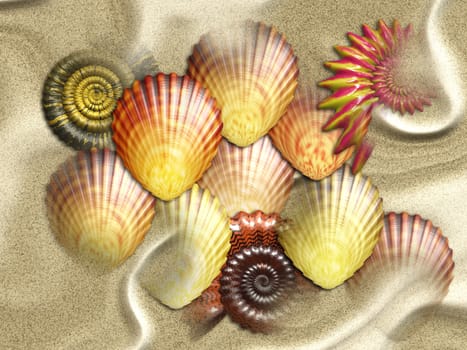 Various sea shells on sand