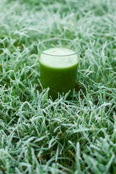 healthy organic green detox juice in a frozen grass