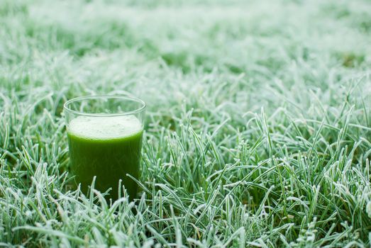 healthy organic green detox juice in a frozen grass