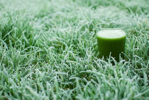 healthy organic green detox juice in a frozen grass