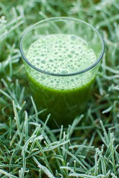 healthy organic green detox juice in a frozen grass