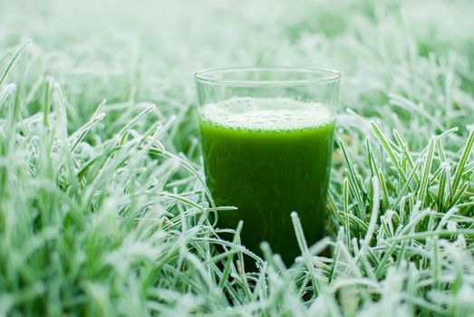 healthy organic green detox juice in a frozen grass