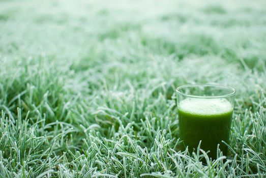healthy organic green detox juice in a frozen grass