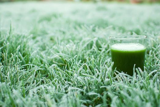 healthy organic green detox juice in a frozen grass