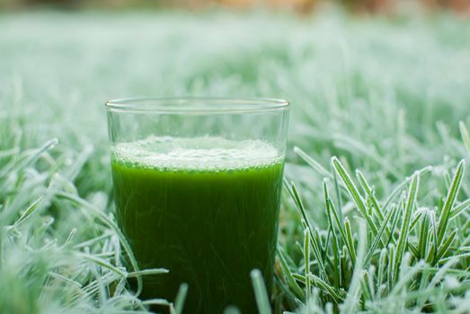 healthy organic green detox juice in a frozen grass